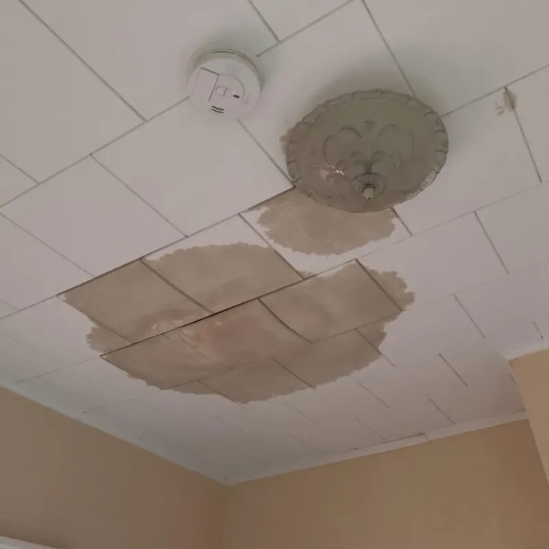 Ceiling Water Damage Repair in McConnell AFB, KS