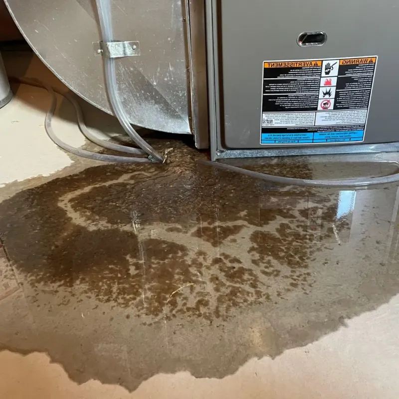 Pipe Burst and Leak Restoration in McConnell AFB, KS