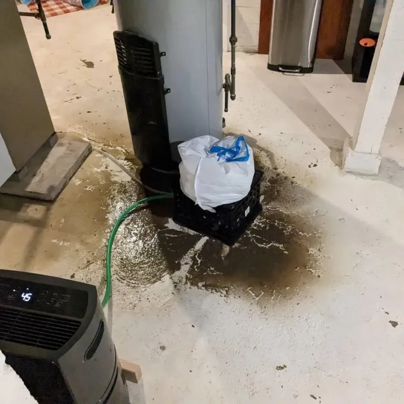 Sewage Backup Cleanup Service in McConnell AFB, KS